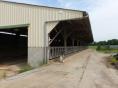 LOIRE-ATLANTIQUE: FOR SALE DAIRY FARM OF 444,700 LITERS ON 75 HA WITH WORKSHOP BREEDING COWS