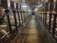 ILLE ET VILAINE : FOR SALE PIG FARM OF124 SOWS  ON 45 HA