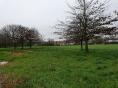 VENDEE : FOR SALE POULTRY FARM OF 1600 M² ON 5 HA