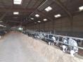 MAYENNE: SOLD IN AUGUST 2022 DAIRY FARM OF 665,000 L ON 124 HA