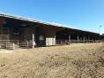 CALVADOS: FOR SALE DAIRY FARM OF 560,000 L ON 123 HA