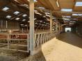 MORBIHAN: FOR SALE CATTLE FATTENING FARM, CROPS AND VEGETABLES ON 261 HA