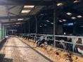 SOLD IN FEBRUARY 2023 - CALVADOS: DAIRY FARM OF 450,000 LITERS ON 177 HA