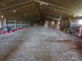 SOLD IN APRIL 2024: MANCHE: DAIRY FARM OF 515,000 LITERS DUR 55 HA
