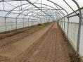 INDRE ET LOIRE: VEGETABLE FARM ON 7 HA WITH DIRECT SALE