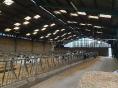 COTES D'ARMOR: DAIRY FARM OF 530,000 LITERS ON 70 HA