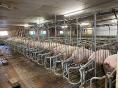 EURE ET LOIR: PIG FARM OF 500 SOWS NE