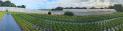 FINISTERE : HORTICULTURAL FARM ON 1.65 HA