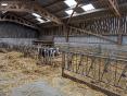 FINISTERE: DAIRY FARM OF 690,000 LITERS ON 144 HA WITH PIG WORKSHOP OF 160 SOWS