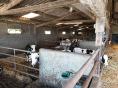 FINISTERE: DAIRY FARM OF 245,000 LITERS ON 62 HA