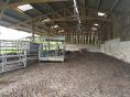 MANCHE: PIG FARM OF 245 SOWS ON 65 HA