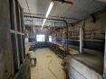 MAYENNE: DAIRY FARM OF 341,000 LITERS ON 50 HA WITH BEEF CALVES WORKSHOP