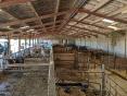VENDEE: DAIRY AND BEEF FARM ON 104 HA