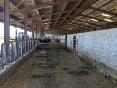 VENDEE: DAIRY AND BEEF FARM ON 104 HA