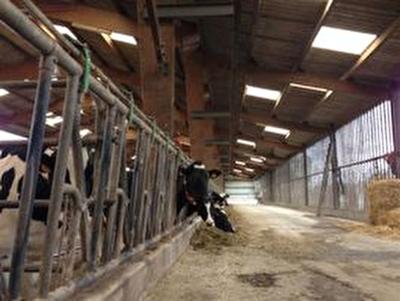 MANCHE - FOR SALE DAIRY FARM WITH 500 000 LITRES ON 43 HECATRES