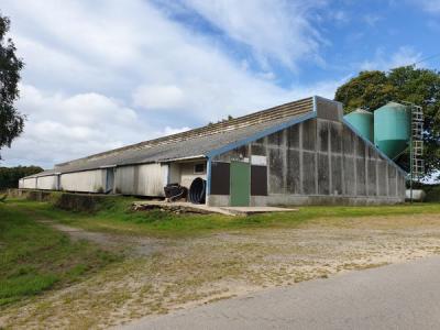 MORBIHAN: FOR SALE 60 HA GROUP FARM WITH POULTRY BUILDING