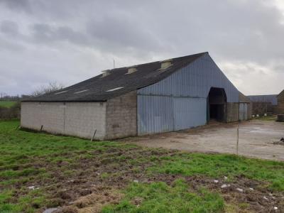 FINISTERE: FOR SALE DAIRY FARM OF 360,000 LITERS ON 78 HA WITH CATTLE FATTENING WORKSHOP