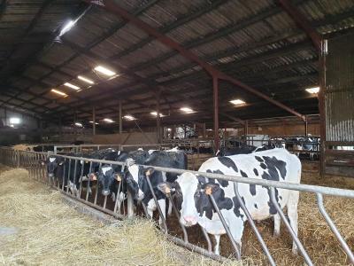 SOLD IN APRIL 2024 : COTES D'ARMOR: DAIRY FARM OF 815,000 LITERS ON 127 HA AND VEAL WORKSHOP