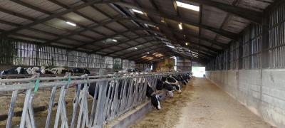COTES D'ARMOR: DAIRY FARM OF 1,020,000 LITERS ON 160 HA
