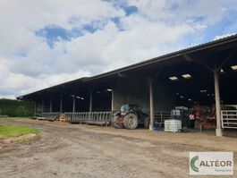 ORNE: FOR SALE BEEF PRODUCTION FARM ON 165HA