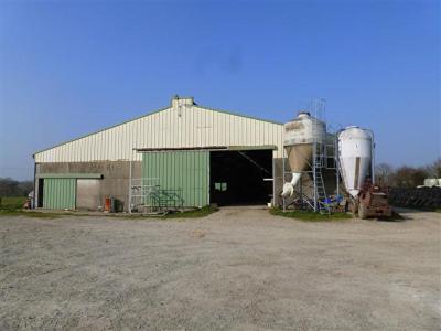 SOLD - LOIRE-ATLANTIQUE - DAIRY FARM 380,680 L ON 63 HA WITH A LIVING HOUSE