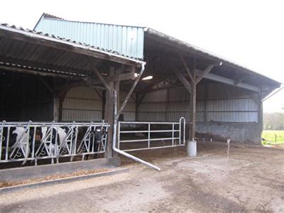 MORBIHAN - FOR SALE DAIRY FARM 350,000 LITRES ON 63 HECTARES