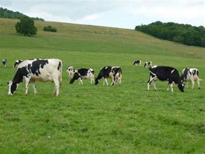 ILLE ET VILAINE - FOR SALE DAIRY FARM 510,000 LITRES AND PIG UNIT ON 70 HECTARES OF LAND
