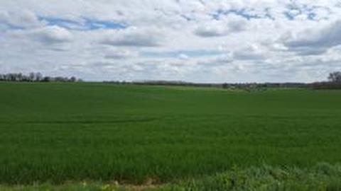 VIENNE - FOR SALE CEREALS FARM ON 260 HECTARES