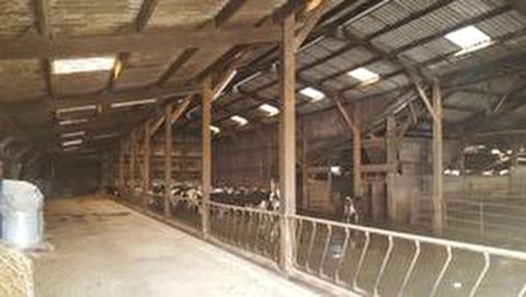 FINISTERE - FOR SALE DAIRY FARM WITH 600 000 LITERS ON 62 HECTARES