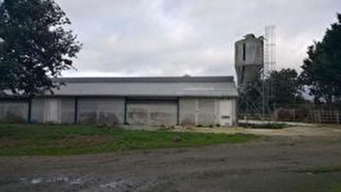 LOIRE ATLANTIQUE - FOR SALE DAIRY FARM WITH 350 000 L AND A POULTRY LABEL ON 63 HA