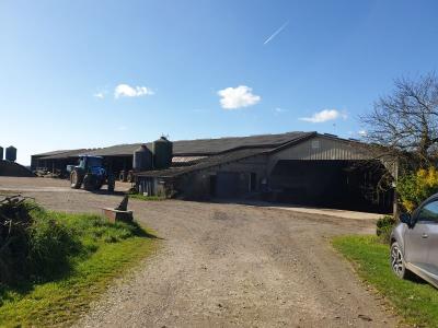 SOLD IN APRIL 2024: MANCHE: DAIRY FARM OF 515,000 LITERS DUR 55 HA