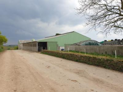 SOLD IN OCTOBER 2023 - FINISTERE: DAIRY FARM OF 405,000 LITERS ON 60 HA
