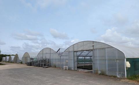 FINISTERE: HORTICULTURAL FARM ON 1.70 HA